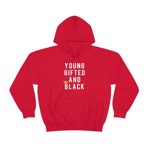 Official Young Gifted And Black  Hoodie