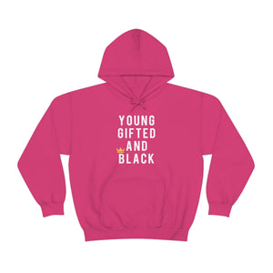 Official Young Gifted And Black  Hoodie